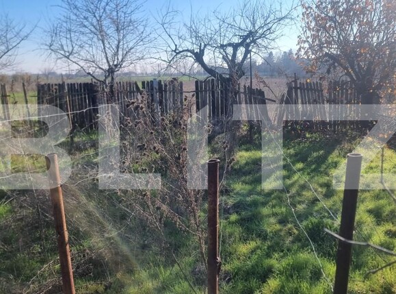 Casa de vânzare 3 camere Brazi - 187039CV | BLITZ Ploieşti | Poza5