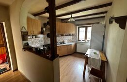 Apartament 3 camere în vilă, 114 mp | Curte | Sinaia