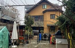 Casă 300 mp utili, Malu Roșu, Ploiești