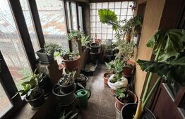 Casă 360 mp utili, spațiu comercial, teren 400 mp – Malu Roșu