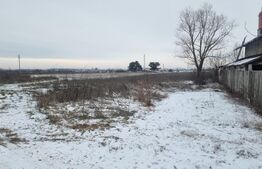 Teren vintravilan Aricesti -Stoenesti