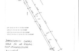 Teren vintravilan Aricesti -Stoenesti