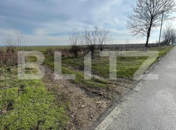 Teren de vânzare Baicoi - 188051TV | BLITZ Ploieşti | Poza2
