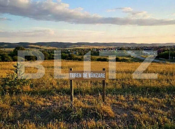 Teren de vânzare Baicoi - 188051TV | BLITZ Ploieşti | Poza1