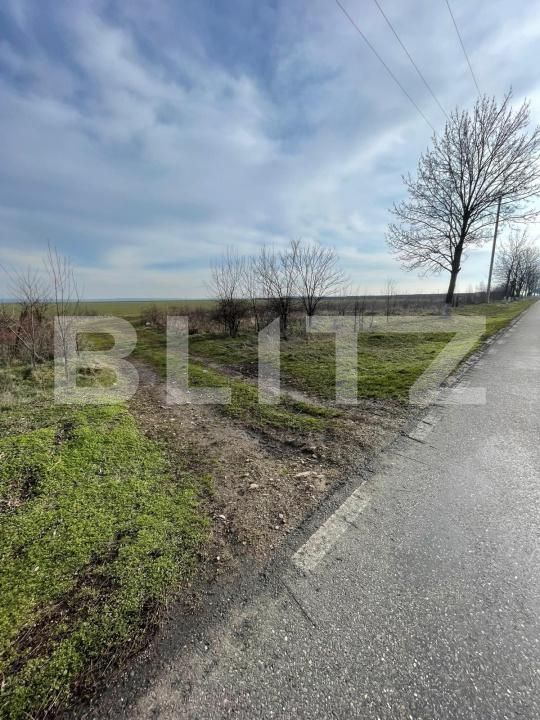 Teren de vânzare Baicoi - 188051TV | BLITZ Ploieşti | Poza2