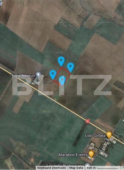 Teren de vânzare Baicoi - 188051TV | BLITZ Ploieşti | Poza3