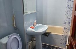 Apartament 2 camere, 55 mp, zona Republicii - Caraiman