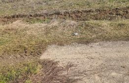 TEREN INTRAVILAN CONSTRUCTII