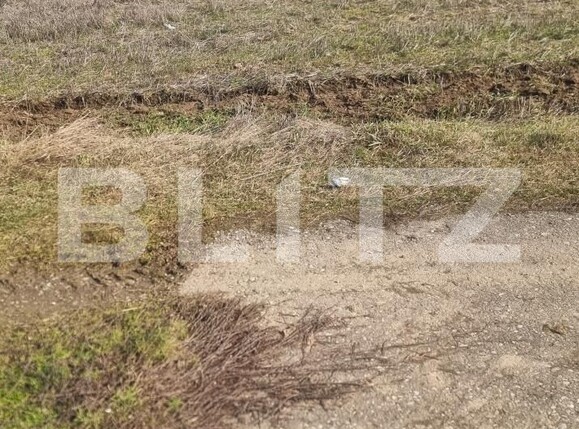 Teren de vânzare Lipanesti - 188639TV | BLITZ Ploieşti | Poza3