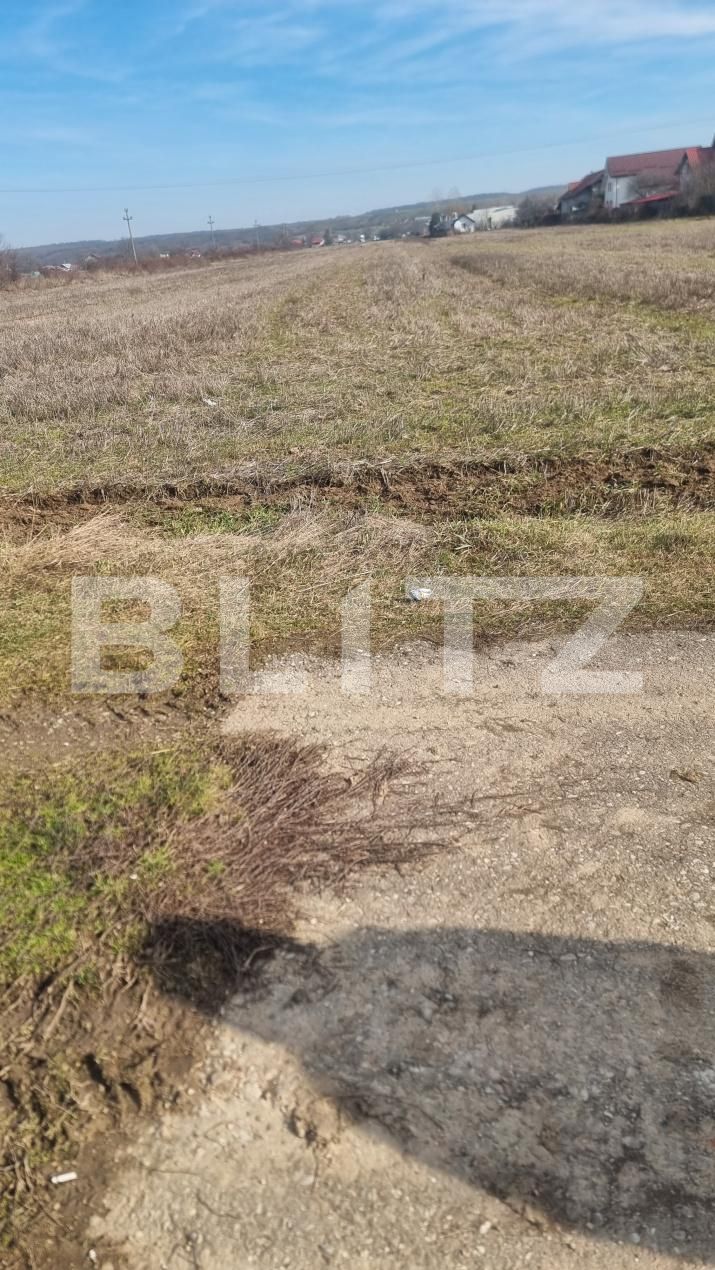 Teren de vânzare Lipanesti - 188639TV | BLITZ Ploieşti | Poza2