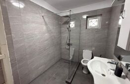 Casa de inchiriat, 150 mp, zona Bulevardul Castanilor