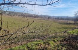 Teren de vânzare Puchenii Mari - 190594TV | BLITZ Ploieşti | Poza1