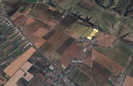 Teren de vânzare Bereasca - 129235TV | BLITZ Ploieşti | Poza3