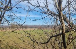 TEREN EXTRAVILAN AGRICOL