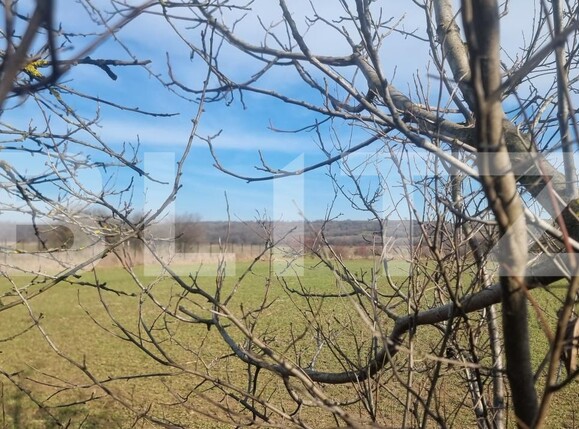 Teren de vânzare Lipanesti - 188688TV | BLITZ Ploieşti | Poza2