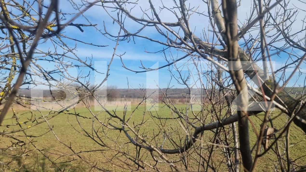 Teren de vânzare Lipanesti - 188688TV | BLITZ Ploieşti | Poza2