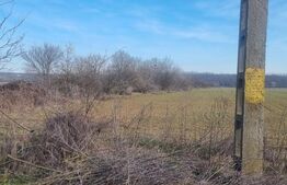 TEREN INTRAVILAN POTENTIAL INVESTITIE 