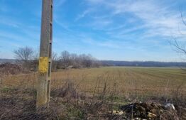 TEREN INTRAVILAN POTENTIAL INVESTITIE 