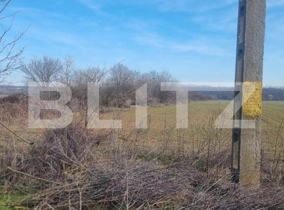 Teren de vânzare Lipanesti - 188690TV | BLITZ Ploieşti | Poza1