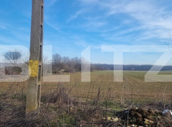 Teren de vânzare Lipanesti - 188690TV | BLITZ Ploieşti | Poza2