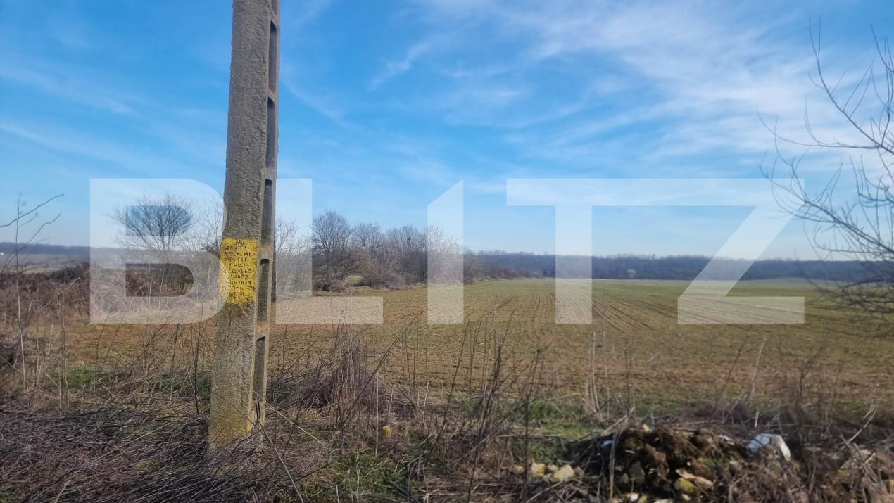 Teren de vânzare Lipanesti - 188690TV | BLITZ Ploieşti | Poza2