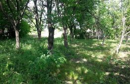 Teren intravilan, 1143 mp, zona Hipodrom