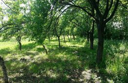 Teren intravilan, 1143 mp, zona Hipodrom