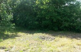 Teren intravilan, 1143 mp, zona Hipodrom