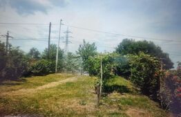Teren intravilan, 1143 mp, front 24 ml,zona Hipodrom