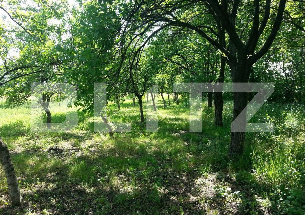 Teren de vânzare Hipodrom - 188871TV | BLITZ Ploieşti | Poza4