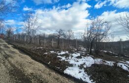 TEREN CU POTENTIAL DEOSEBIT GAGENI 