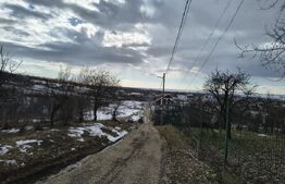 TEREN CU POTENTIAL DEOSEBIT GAGENI 