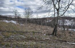 Teren de vânzare Nisipoasa - 174717TV | BLITZ Ploieşti | Poza3