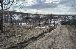 TEREN CU POTENTIAL DEOSEBIT GAGENI 