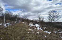 TEREN CU POTENTIAL DEOSEBIT GAGENI 