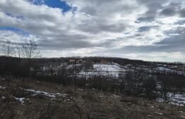 TEREN, 10000 mp, Paulesti (Gegeni) 