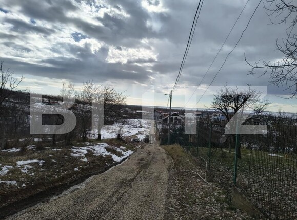 Teren de vânzare Paulesti - 189012TV | BLITZ Ploieşti | Poza5