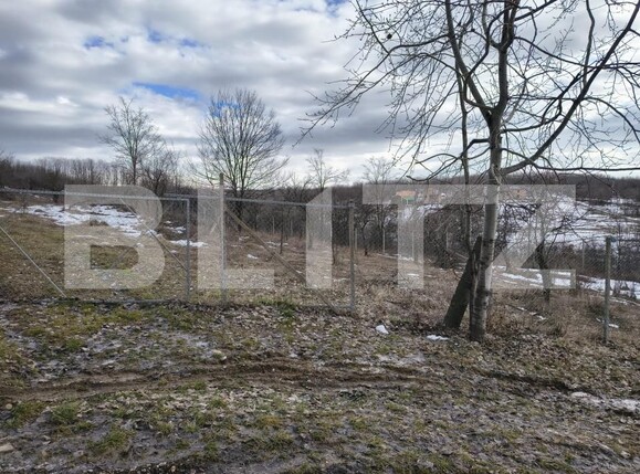 Teren de vânzare Paulesti - 189012TV | BLITZ Ploieşti | Poza1