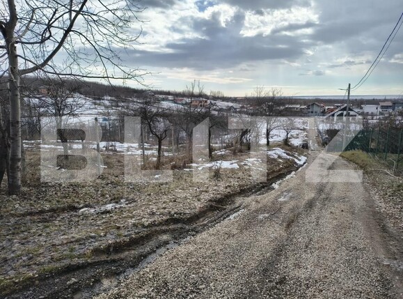 Teren de vânzare Paulesti - 189012TV | BLITZ Ploieşti | Poza8