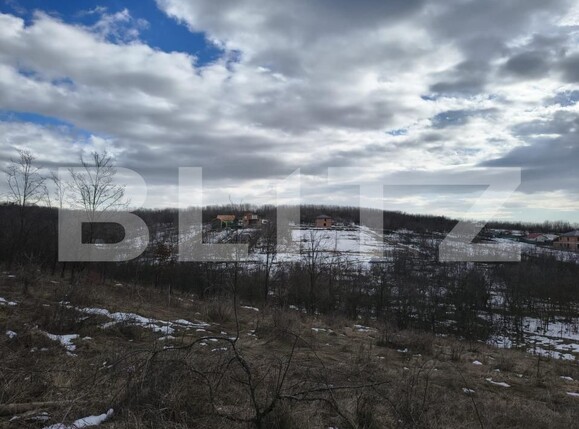 Teren de vânzare Paulesti - 189012TV | BLITZ Ploieşti | Poza4