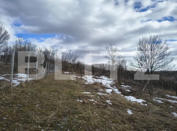 Teren de vânzare Paulesti - 189012TV | BLITZ Ploieşti | Poza4