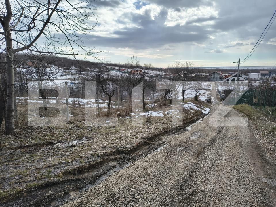 Teren de vânzare Paulesti - 189012TV | BLITZ Ploieşti | Poza6