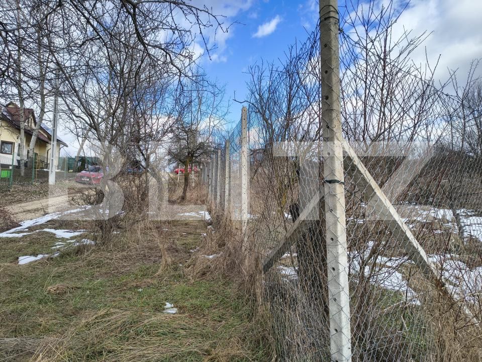 Teren de vânzare Paulesti - 189012TV | BLITZ Ploieşti | Poza5