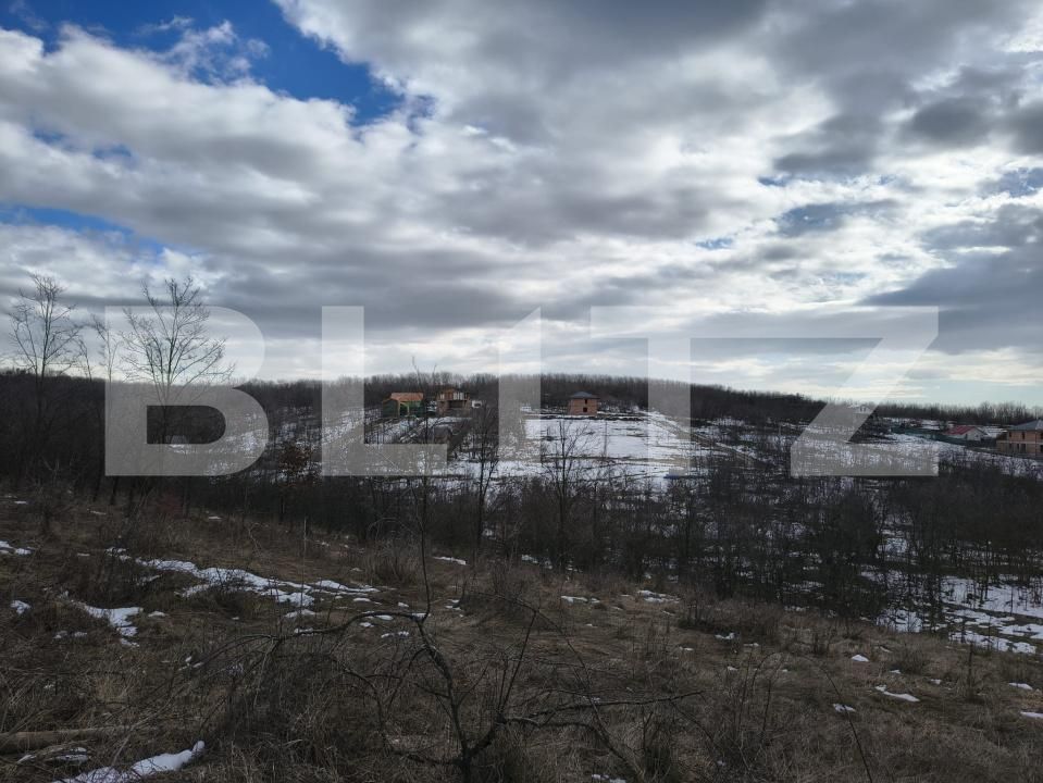 Teren de vânzare Paulesti - 189012TV | BLITZ Ploieşti | Poza2