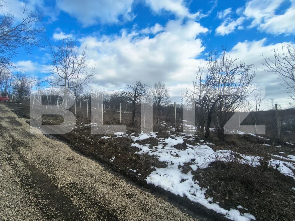 Teren de vânzare Paulesti - 189012TV | BLITZ Ploieşti | Poza2