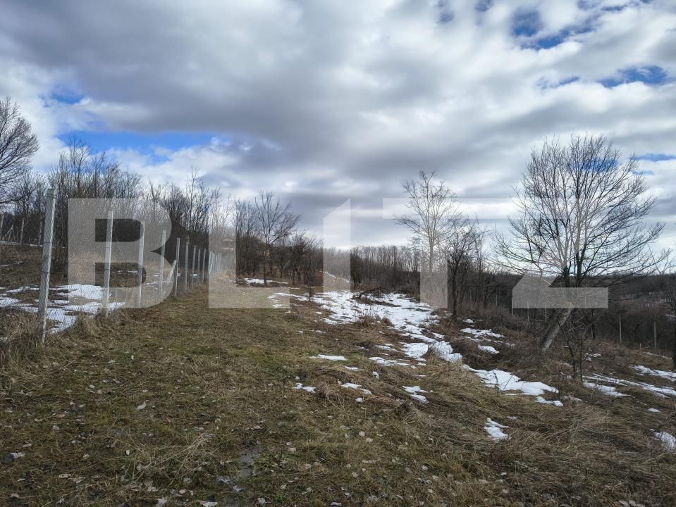 Teren de vânzare Paulesti - 189012TV | BLITZ Ploieşti | Poza4