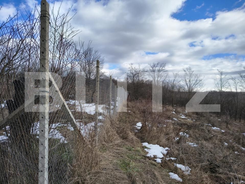 Teren de vânzare Paulesti - 189012TV | BLITZ Ploieşti | Poza3