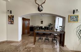 Casa individuala de lux, 410 mp + teren 2760 mp - Campina Muscel