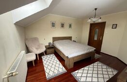 Casa individuala de lux, 410 mp + teren 2760 mp - Campina Muscel