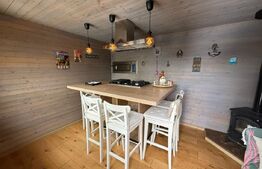 Casa individuala exceptionala, 410 mp, Campina Muscel